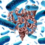 Como Melhorar a Flora Intestinal de Forma Natural Dicas Práticas para um Intestino Saudável