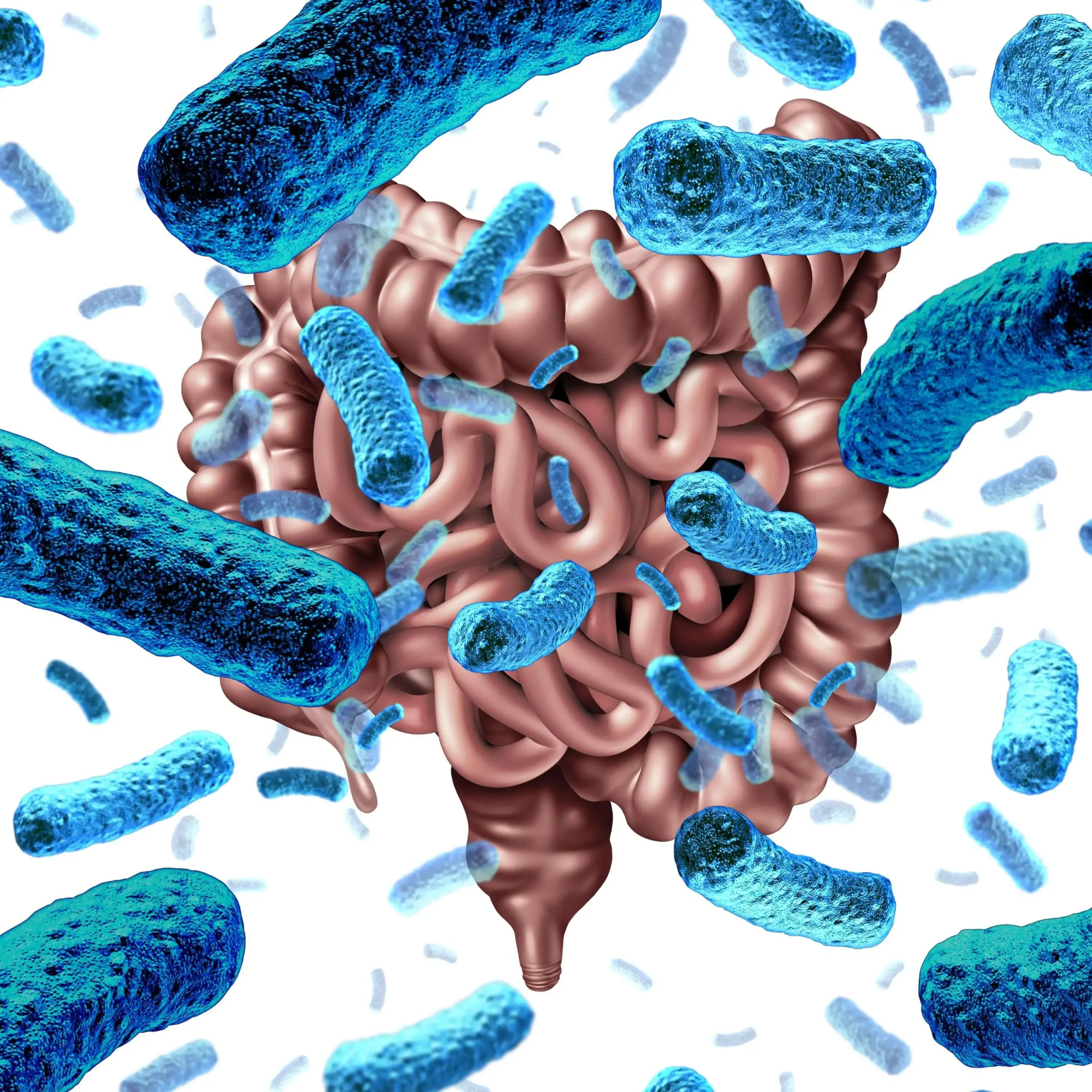 Como Melhorar a Flora Intestinal de Forma Natural Dicas Práticas para um Intestino Saudável