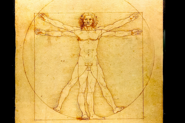 Fatos Sobre a Vida de Leonardo da Vinci O Gênio por Trás da Mona Lisa